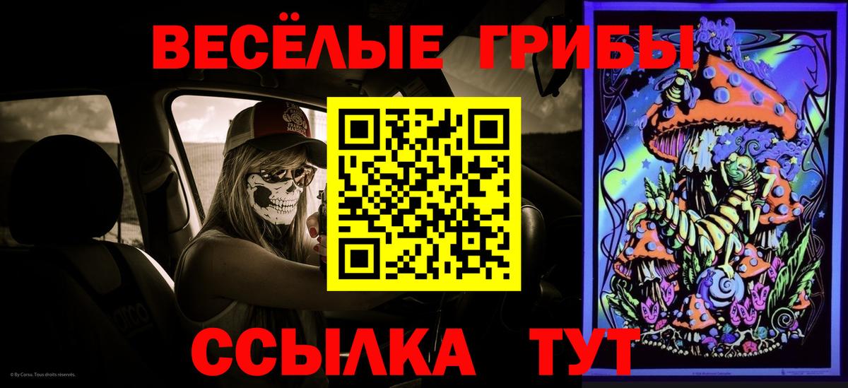 Псилоцибиновые грибы Magic Shrooms Кашира