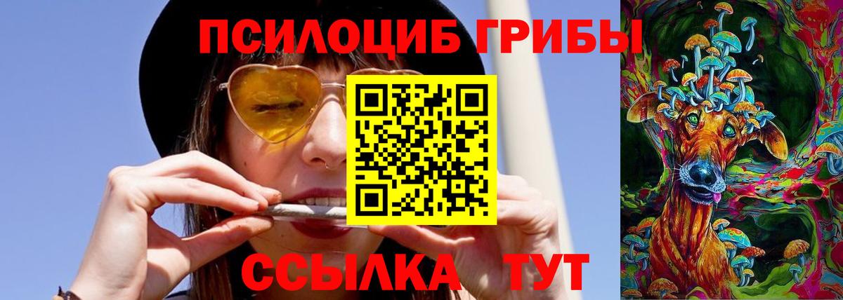 Псилоцибиновые грибы Psilocybine cubensis  Вход с VPN  Кашира 